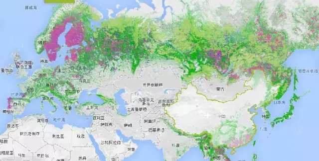 韩国现在多少人口_2018年韩国人口 韩国有多少人口及人口增长率(3)