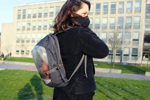 荷兰5名大学生发明植物背囊对抗空气污染
