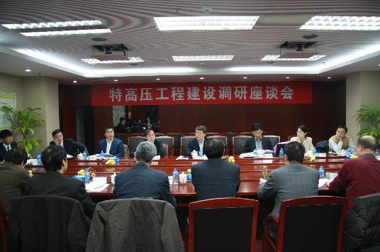 国家电网召开特高压工程建设调研座谈会